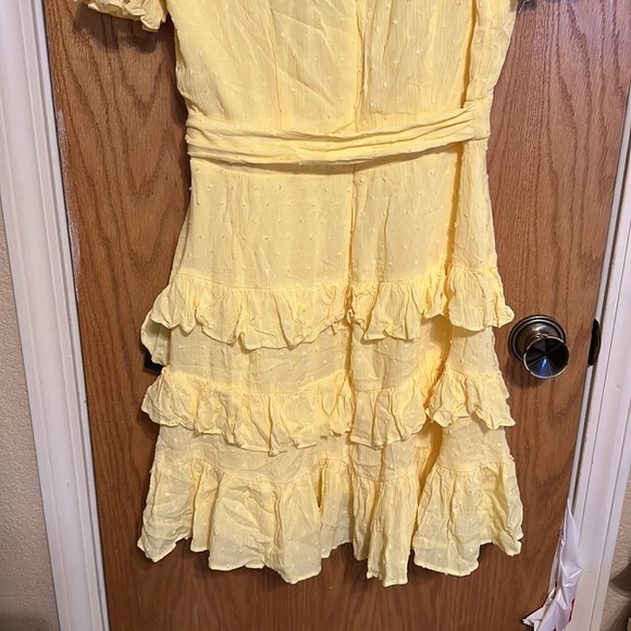 Lulus Mini Ruffle Dress - Picture 7 of 7